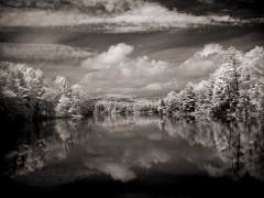 dodie lake © Dave Hickey (hicspix)